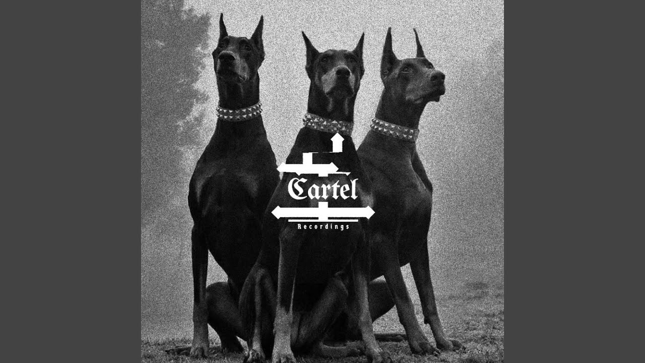 Beyondsakha (Original Mix)